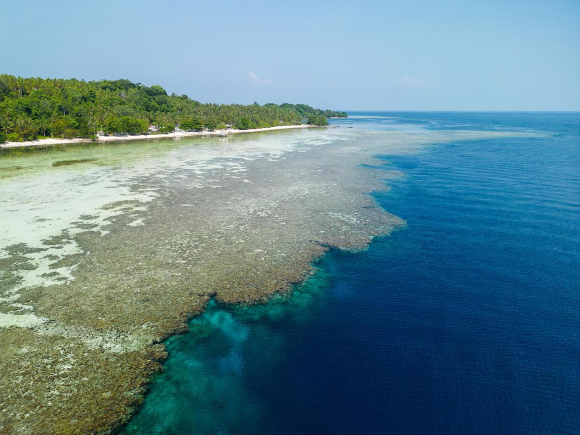 Reconnect - Private Island Resort & Dive Center Togean - Buka Buka Island Ampana Extérieur photo